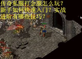 传奇私服打金服怎么玩?新手如何快速入门?实战进阶有哪些技巧? 传奇私服打金服怎么玩?新手如何快速入门?实战进阶有哪些技巧?