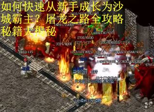 如何快速从新手成长为沙城霸主？屠龙之路全攻略秘籍大揭秘