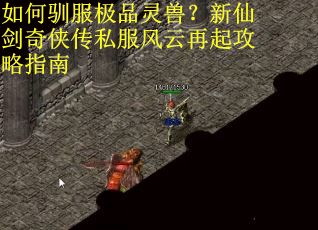 如何驯服极品灵兽？新仙剑奇侠传私服风云再起攻略指南