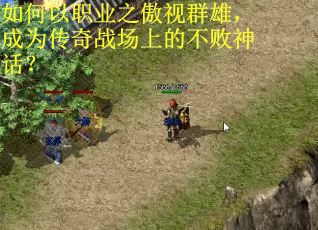 如何以职业之傲视群雄,成为传奇战场上的不败神话? 如何以职业之傲视群雄,成为传奇战场上的不败神话?