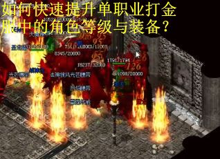 如何快速提升单职业打金服中的角色等级与装备？