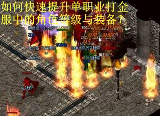 如何快速提升单职业打金服中的角色等级与装备？