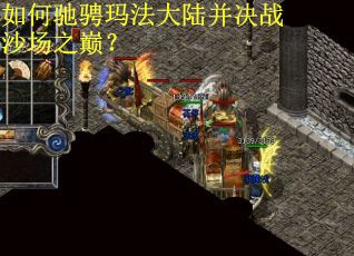 如何驰骋玛法大陆并决战沙场之巅？