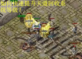 如何快速提升天道回收系统等级？