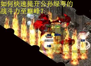 如何快速提升公孙绿萼的战斗力至巅峰？