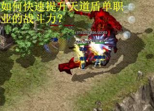 如何快速提升天道盾单职业的战斗力? 如何快速提升天道盾单职业的战斗力?